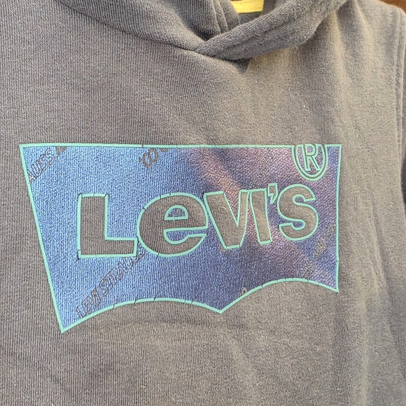 Levi's Youth Gray Graphic Print Hoodie Euc Size L 6-7 Years Unisex - Picture 2 of 5